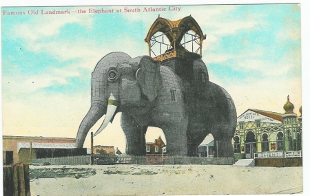 Elephant Hotel.  Divided back era - obverse
